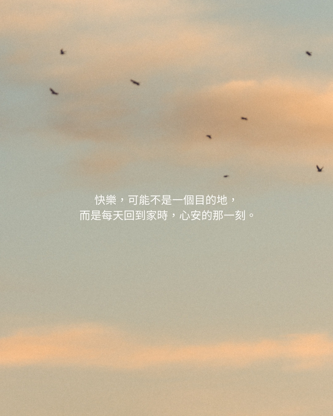VOL.05 圖卡 14